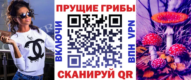 ссылка на мегу рабочий сайт  Кингисепп  Галлюциногенные грибы MAGIC MUSHROOMS 